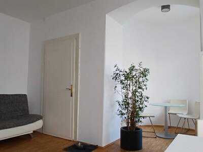 Gewerbeobjekt mieten in 5020 Salzburg (Bild 2)