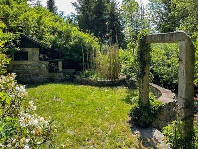 Haus kaufen in 4202 Althellmonsödt (Bild 4)