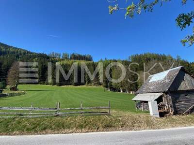 Grundstück kaufen in 8971 Rohrmoos Untertal (Bild 4)