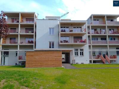 Apartment provisionsfrei mieten in 8020 Steiermark