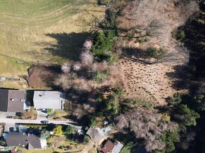 Grundstück kaufen in 6835 Zwischenwasser (Bild 3)