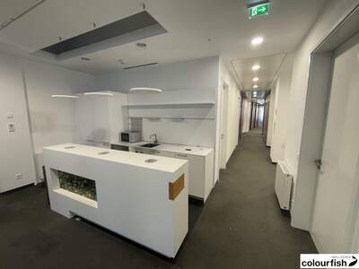 Gewerbeobjekt mieten in 1010 Wien (Bild 5)