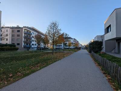 Haus mit Garten kaufen in 1100 Wien (Bild 1)
