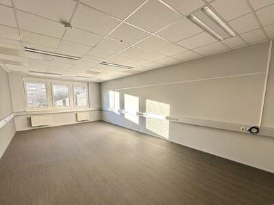 Gewerbeobjekt mieten in 8054 Graz (Bild 4)