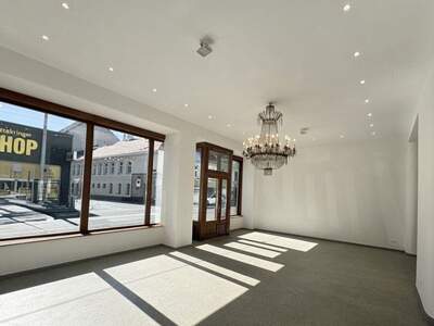 Gewerbeobjekt mieten in 1160 Wien (Bild 5)