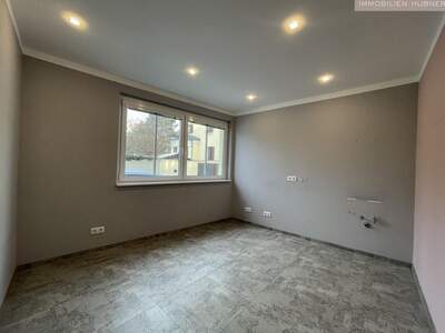 Gewerbeobjekt mieten in 2700 Wiener Neustadt (Bild 5)