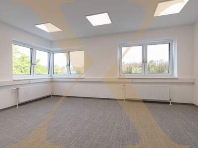 Gewerbeobjekt mieten in 4060 Leonding