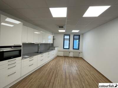 Gewerbeobjekt mieten in 1030 Wien (Bild 3)