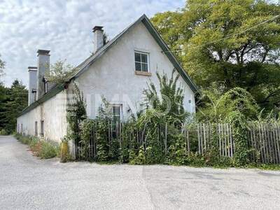 Grundstück kaufen in 2754 Waldegg