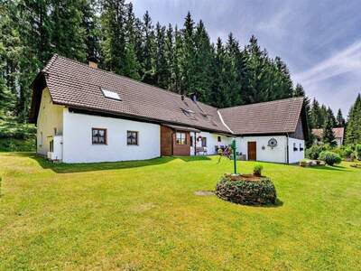 Landhaus kaufen in 38279 Frymburk