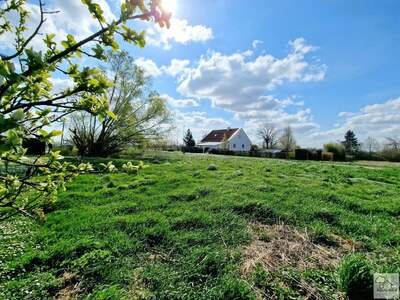 Grundstück kaufen in 7082 Donnerskirchen