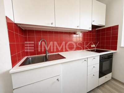 Terrassenwohnung kaufen in 5101 Bergheim (Bild 4)