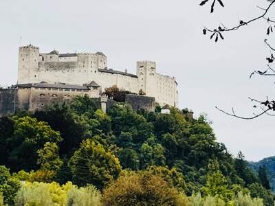 Grundstück kaufen in 5020 Salzburg