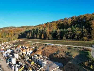 Wohnung kaufen in 4209 Engerwitzdorf