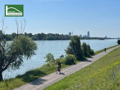 Wohnung mieten in 1190 Wien (Bild 4)
