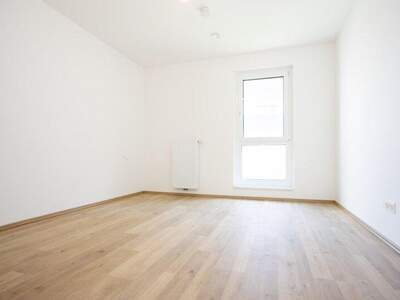 Terrassenwohnung kaufen in 2700 Wr. Neustadt (Bild 3)