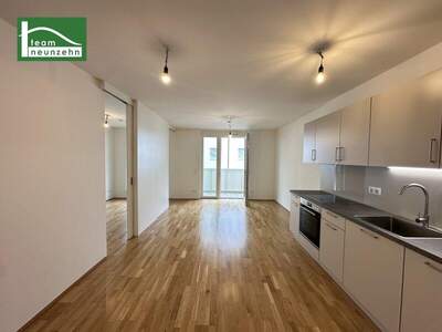 Terrassenwohnung mieten in 1220 Wien (Bild 1)