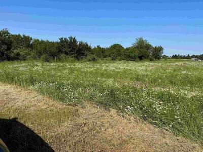 Grundstück kaufen in 2230 Gänserndorf