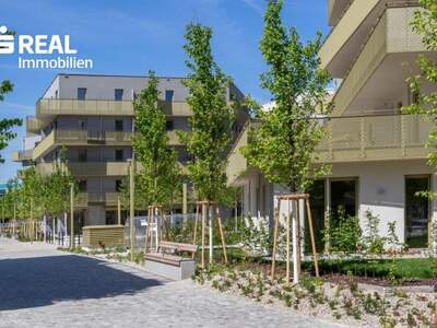 Terrassenwohnung kaufen in 1210 Wien (Bild 2)