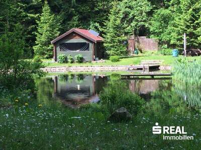 Grundstück kaufen in 4040 Lichtenberg (Bild 4)