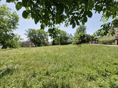 Grundstück kaufen in 4060 Leonding (Bild 2)