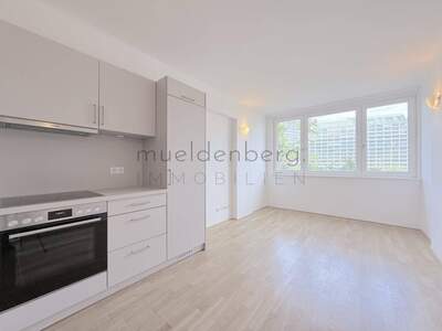 Wohnung mieten in 1010 Wien