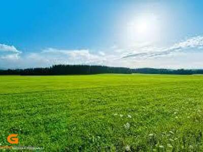 Grundstück mieten in 5202 Neumarkt