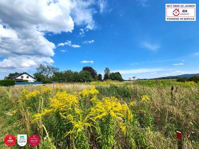 Grundstück kaufen in 2700 Wr. Neustadt (Bild 3)