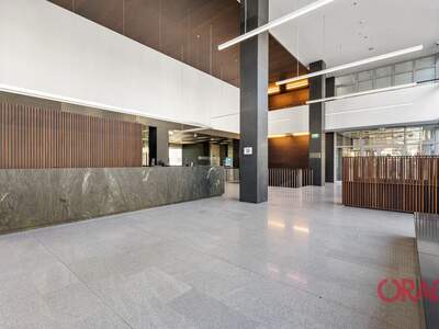 Gewerbeobjekt mieten in 1220 Wien (Bild 3)