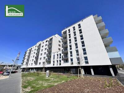 Terrassenwohnung mieten in 1100 Wien (Bild 1)