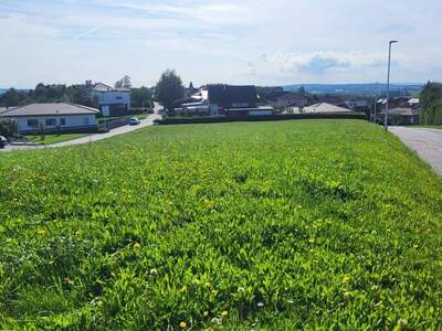 Grundstück kaufen in 4776 Diersbach