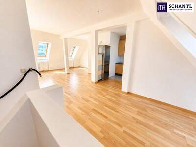 Terrassenwohnung kaufen in 3100 St. Pölten (Bild 3)