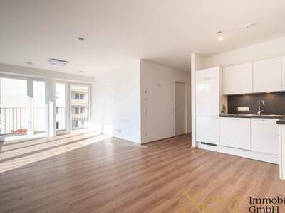 Terrassenwohnung mieten in 4020 Linz (Bild 2)