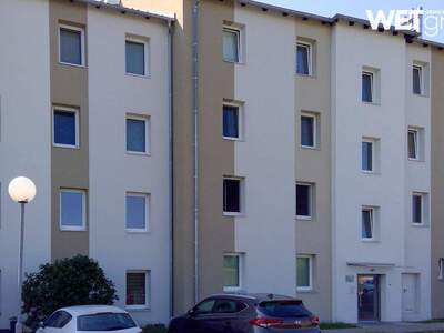 Wohnung mieten in 2486 Pottendorf