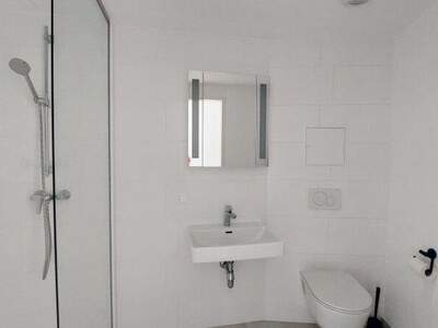 Terrassenwohnung mieten in 1100 Wien (Bild 3)