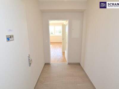 Terrassenwohnung mieten in 2320 Schwechat (Bild 5)