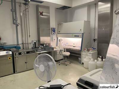 Gewerbeobjekt mieten in 1210 Wien (Bild 4)