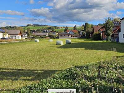 Grundstück kaufen in 4542 Nußbach (Bild 1)