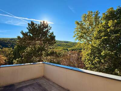 Altbauwohnung kaufen in 2500 Baden (Bild 1)