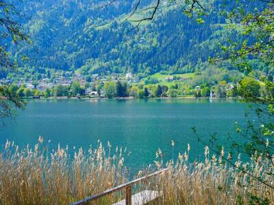 Grundstück kaufen in 9570 Alt (Bild 3)