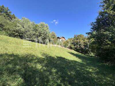 Grundstück kaufen in 9212 Techelsberg (Bild 2)