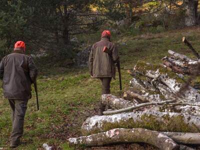 Gewerbeobjekt mieten in 1010 Wien
