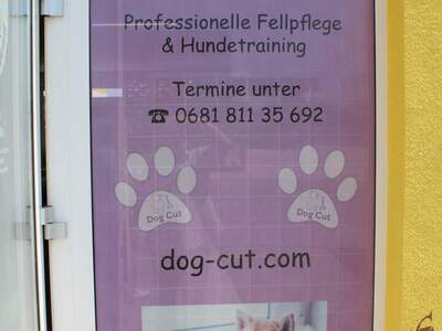 Gewerbeobjekt mieten in 2401 Fischamend (Bild 4)