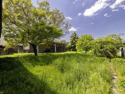 Gewerbeobjekt kaufen in 2431 Enzersdorf (Bild 1)