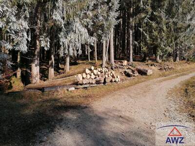 Anlageobjekt kaufen in 8781 Wald