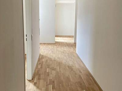 Terrassenwohnung mieten in 1110 Wien (Bild 2)