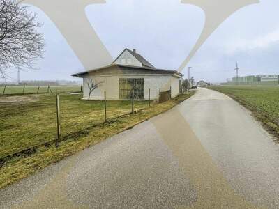 Grundstück mieten in 4470 Enns