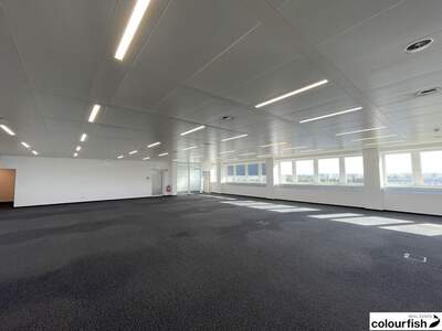 Gewerbeobjekt mieten in 2351 Wiener Neudorf (Bild 4)