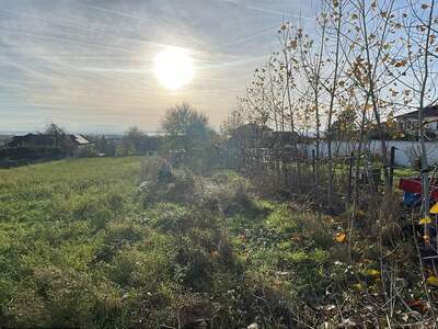 Grundstück kaufen in 7100 Neusiedl