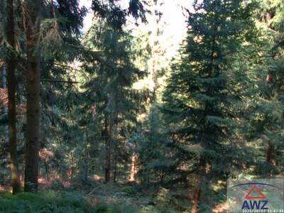 Gewerbeobjekt kaufen in 4201 4201 Eidenberg